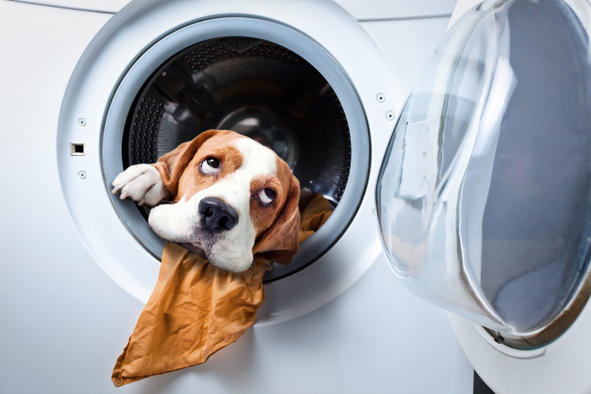 Drycleaning Myth Busters!!